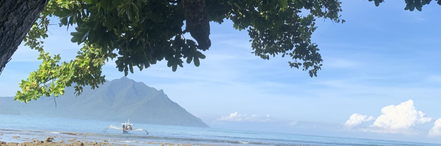 paenguwin's profile banner image