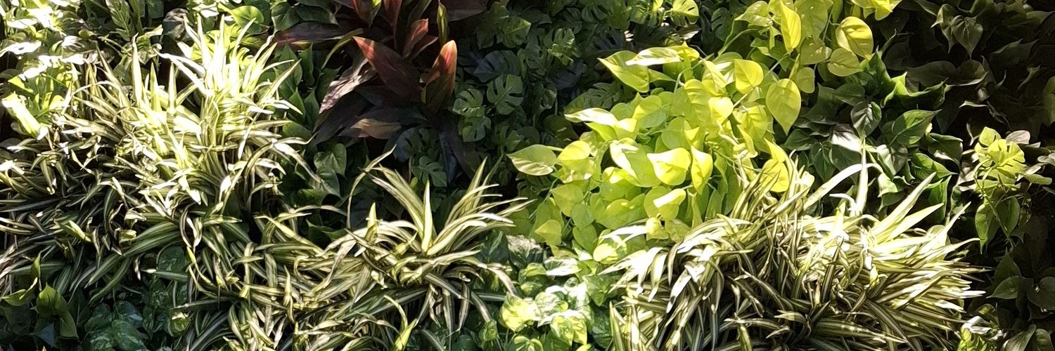 ogwkit's profile banner image