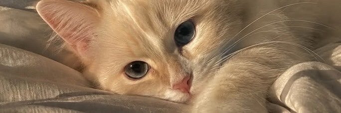 iSupport_ManMan's profile banner image