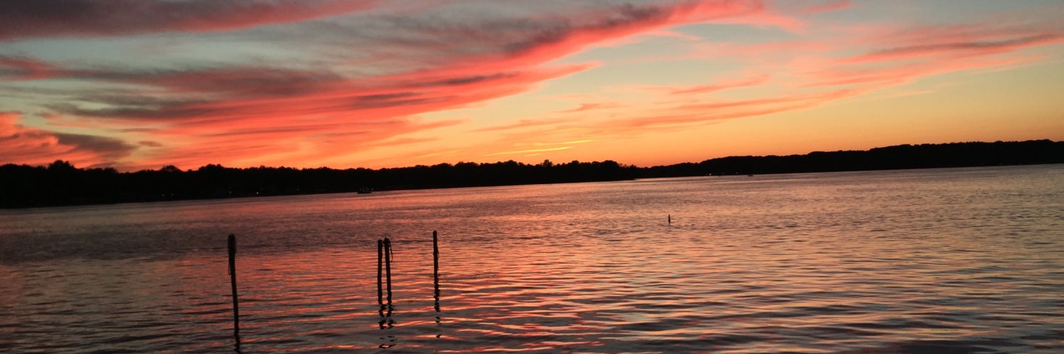 NoraSantelli's profile banner image