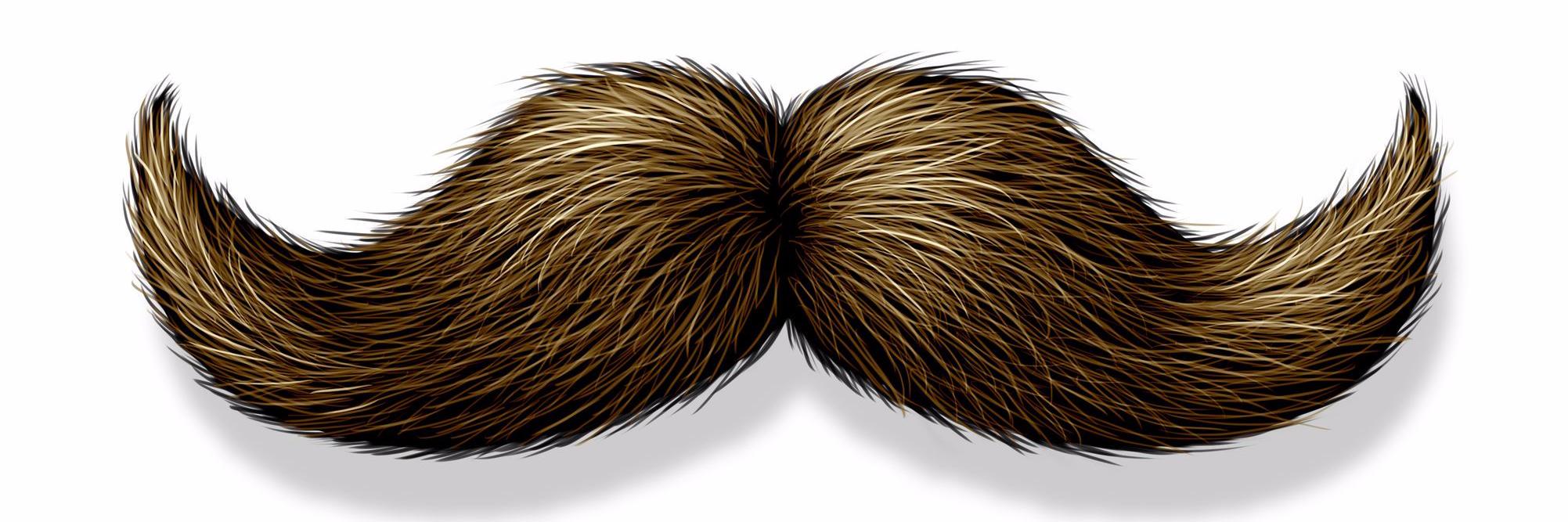 PartyCoiBaffy's profile banner image