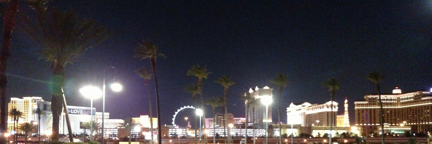 RealAliBryk's profile banner image