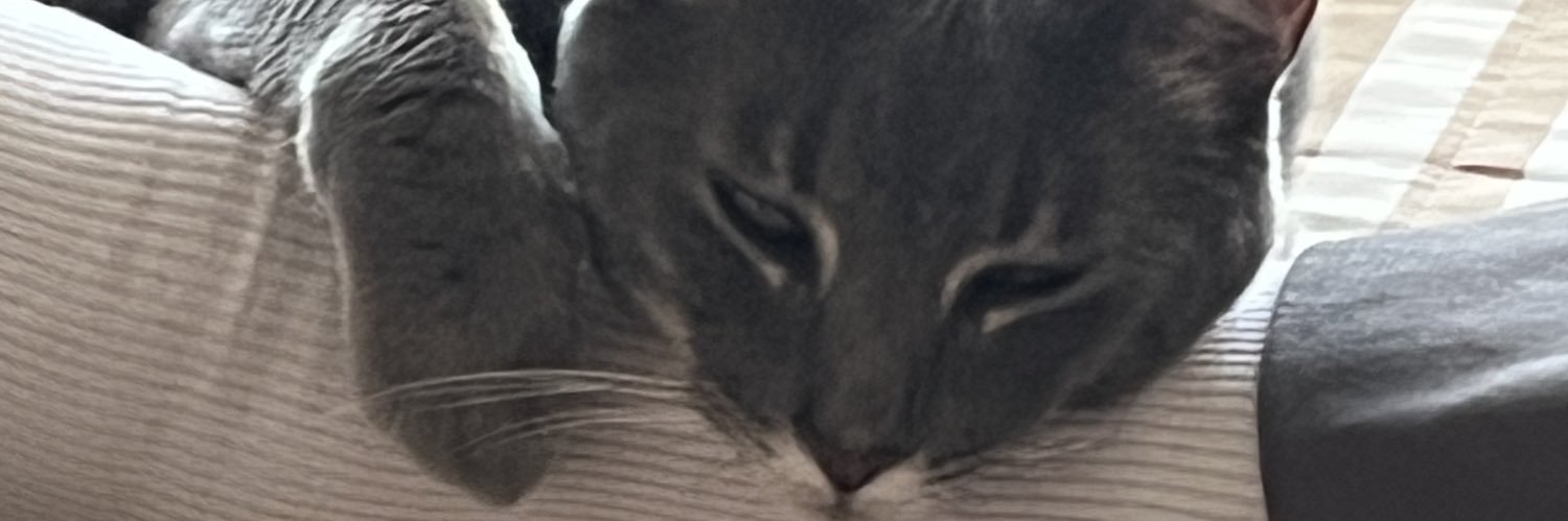 Norma t Vasta 🇦🇷💪 banner