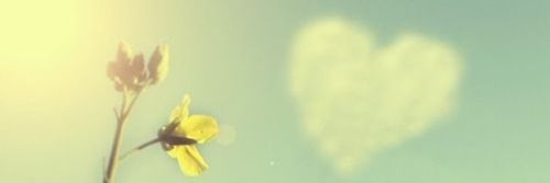 KellySm74195429's profile banner image