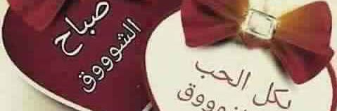 apomansee's profile banner image