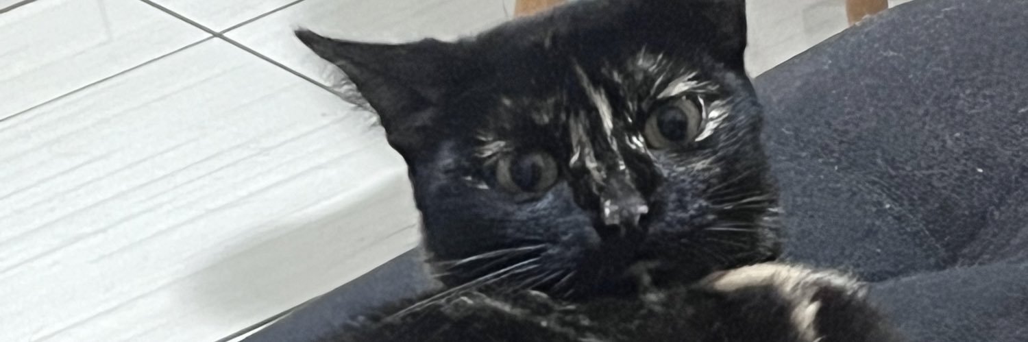 passarimred's profile banner image
