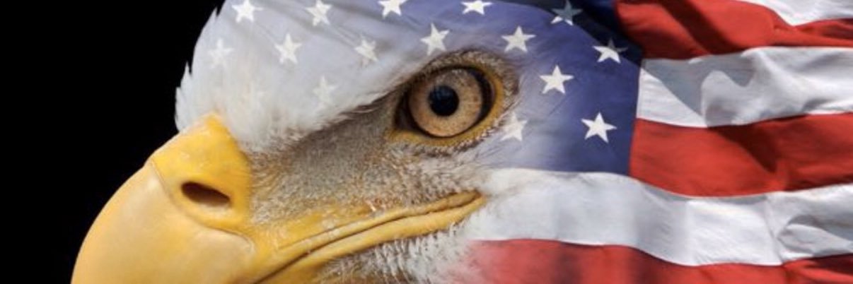EyeFremeo1's profile banner image