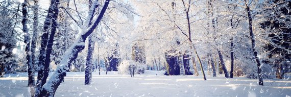 Nichol_Gray's profile banner image