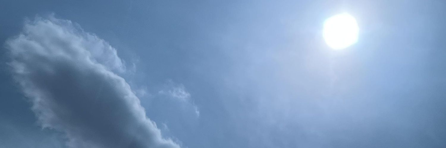 dis🐣 banner