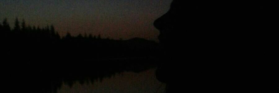 halenurcamoglu's profile banner image