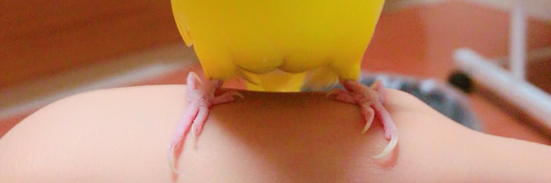 yunyo25's profile banner image