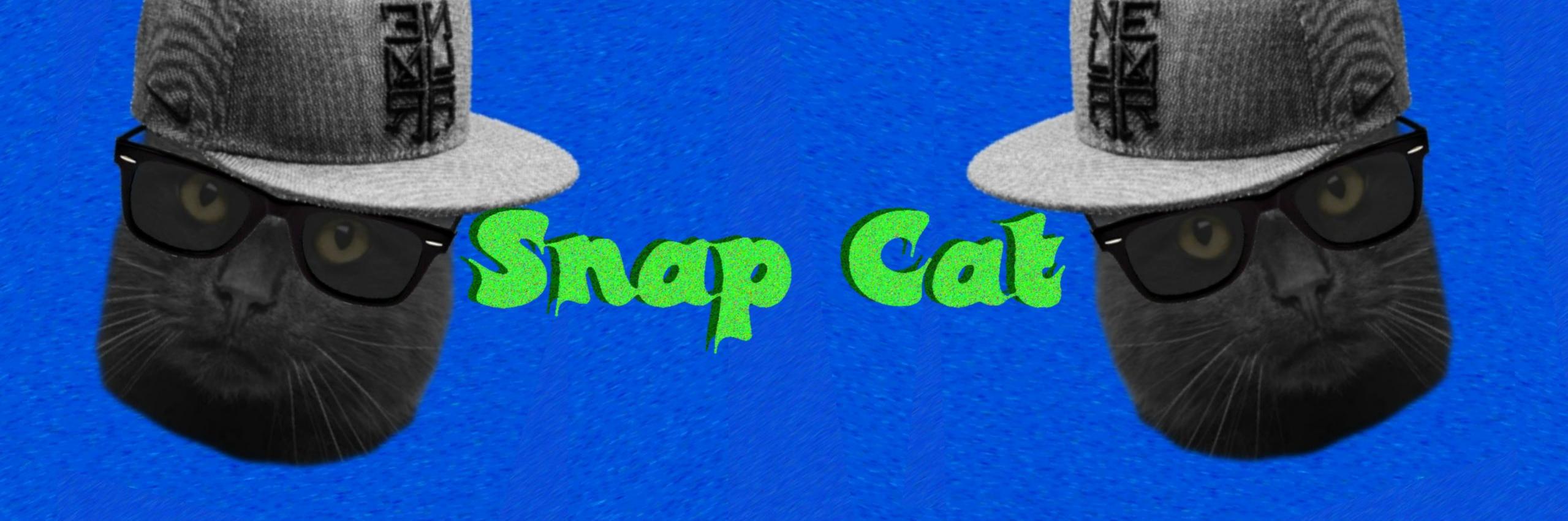 OfficialSnapCat's profile banner image