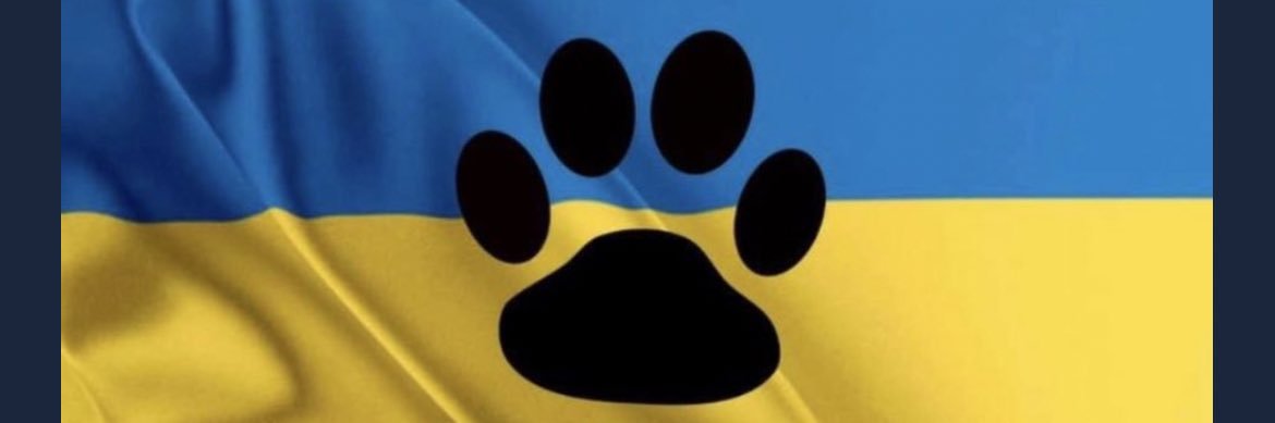 Auzzzie's profile banner image