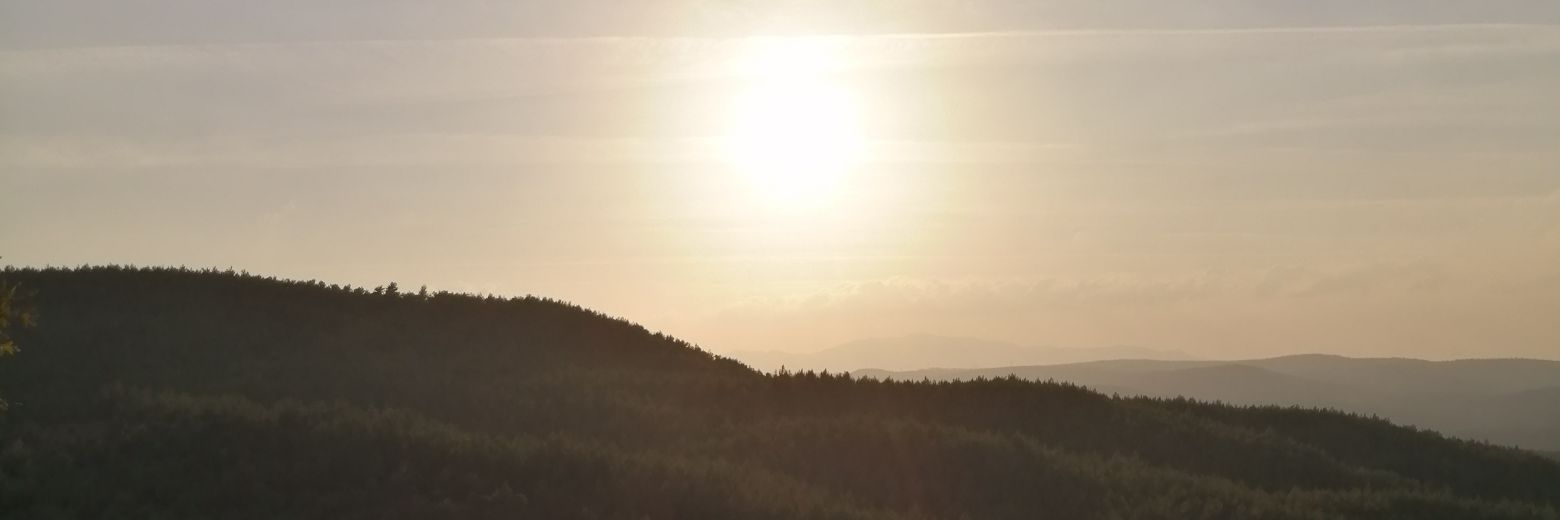 nuloila's profile banner image