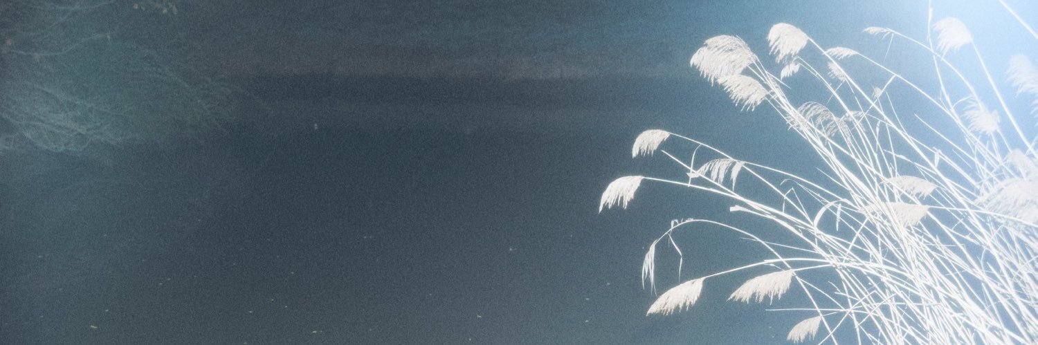 joystaI's profile banner image
