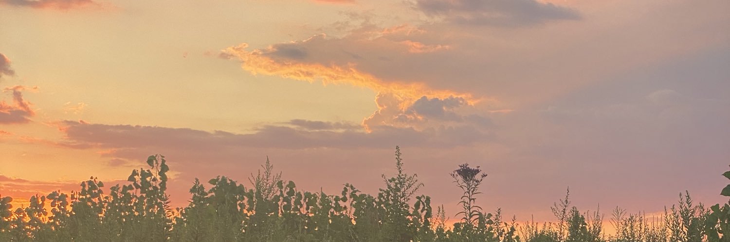 k_arielle_'s profile banner image