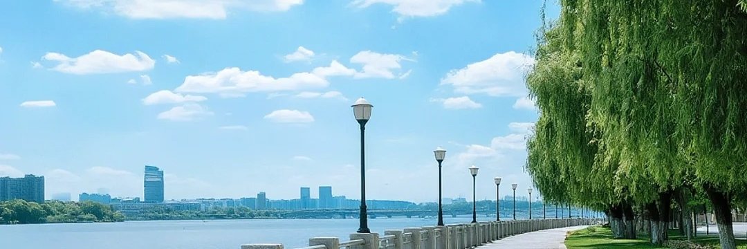 harukitenisu's profile banner image