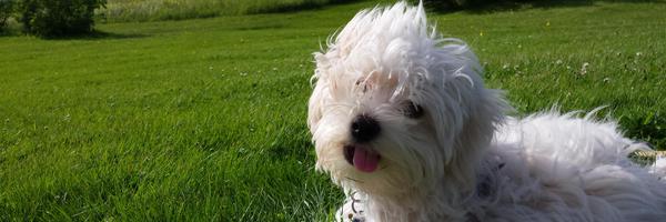 MIKatK88 Profile Banner