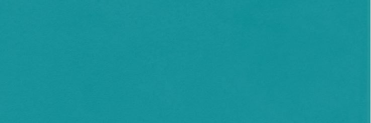 IWHCToronto's profile banner image