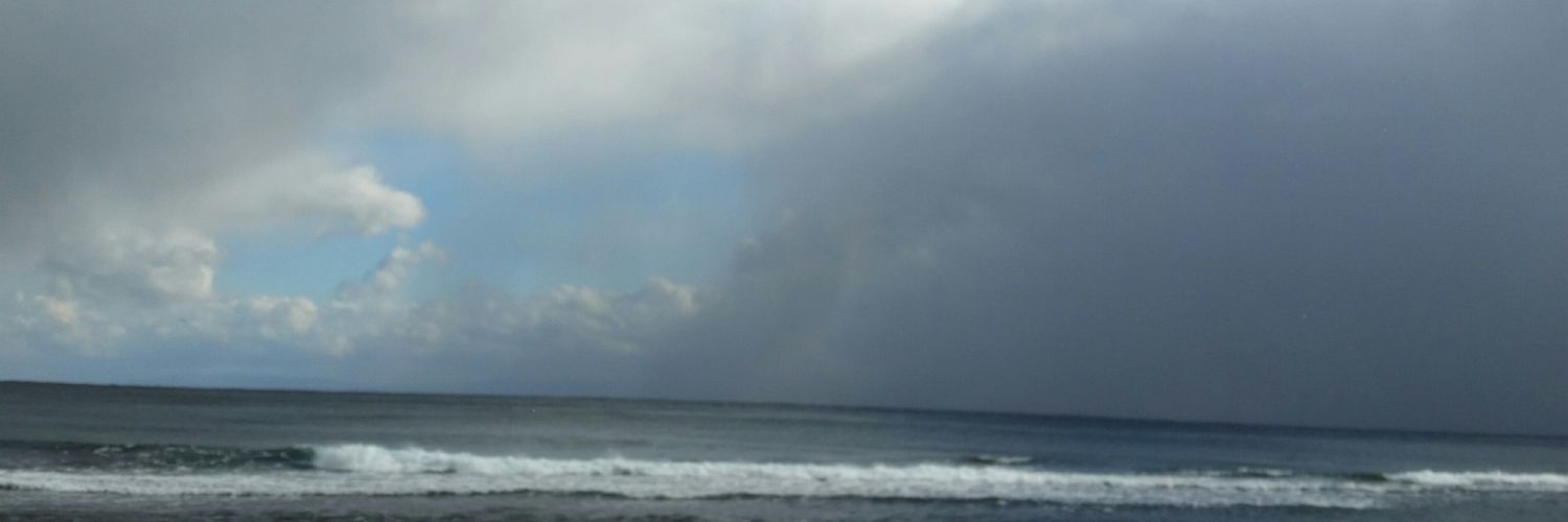 STrees2015's profile banner image