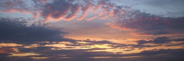 BorgiaBat's profile banner image
