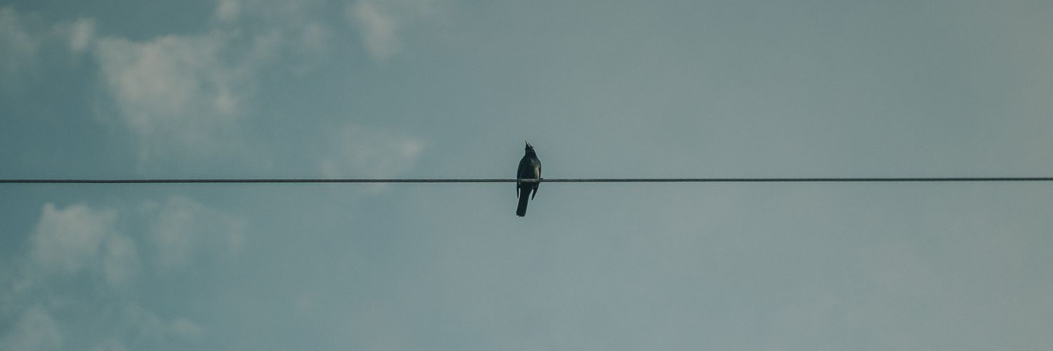 cvbalido's profile banner image