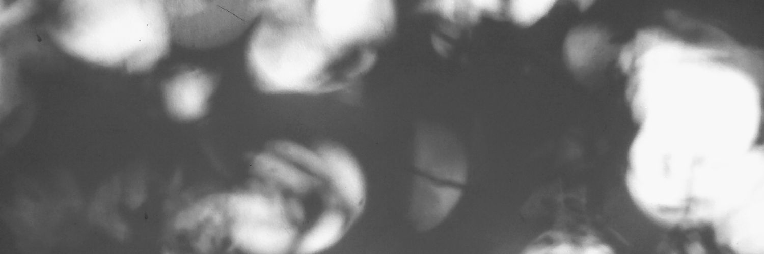 harringb7's profile banner image