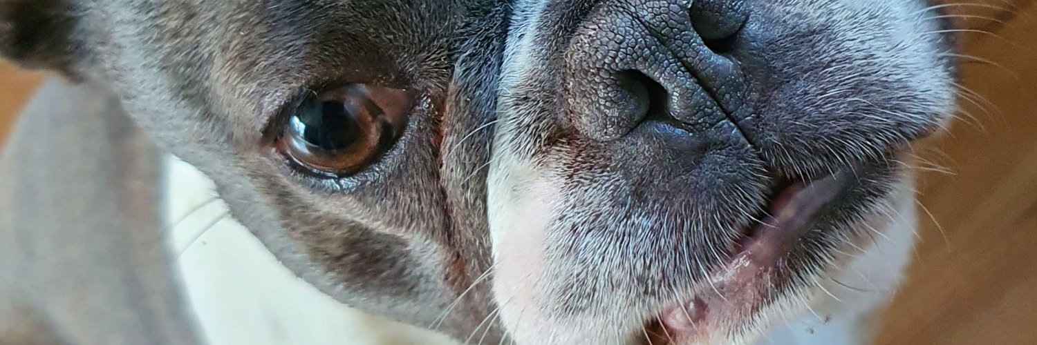 sebday_'s profile banner image