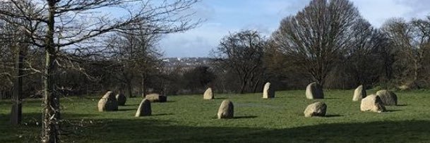 Hilly Fields juniors banner