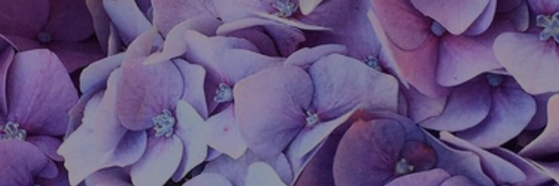 HippieSpicee's profile banner image