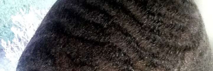 ____eddyy's profile banner image
