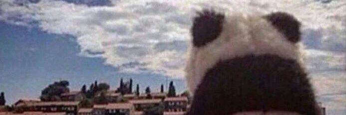 sblgndgd's profile banner image