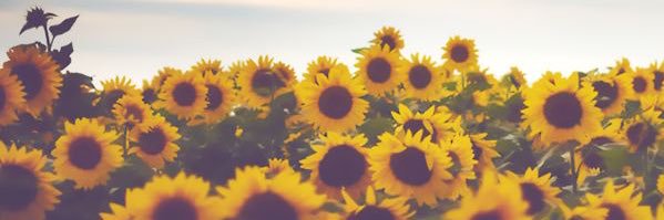 Amber1279's profile banner image