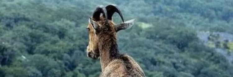 sergio_m15's profile banner image