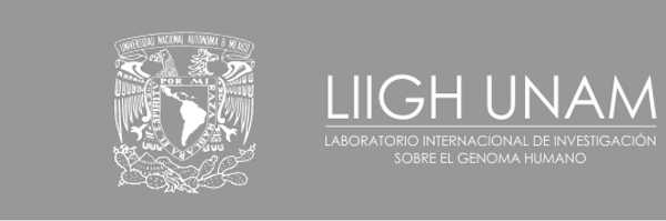 LIIGH_UNAM Profile Banner