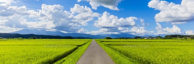 生き抜こうとする人へ banner