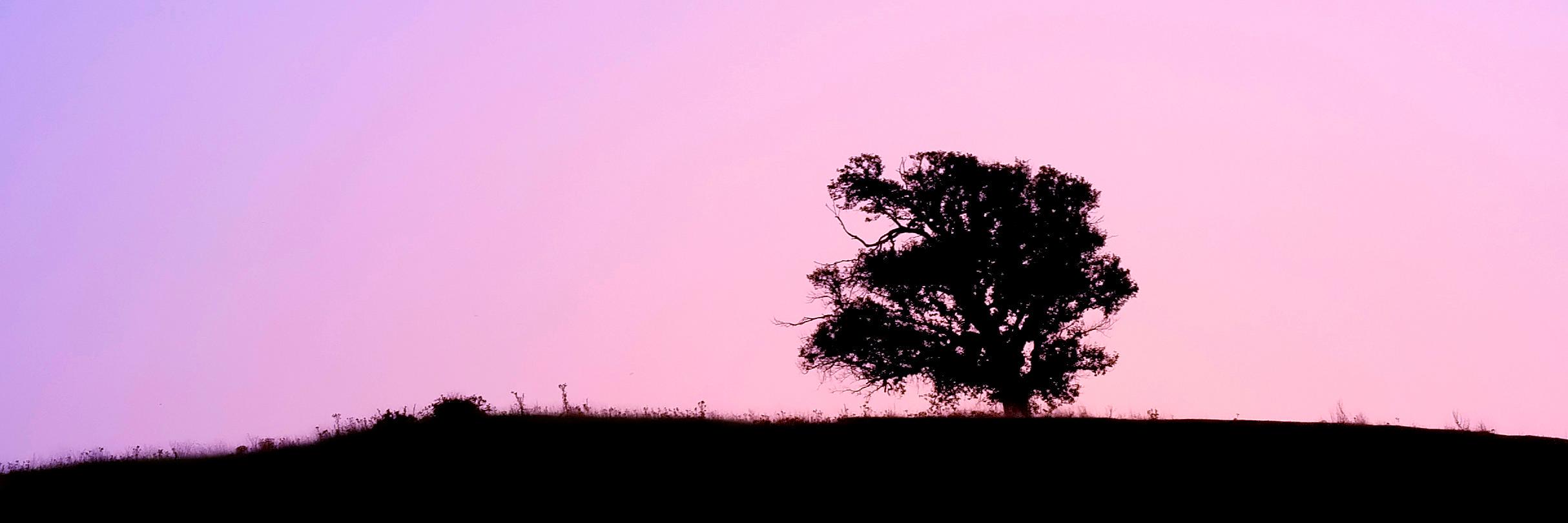 freeimagebay's profile banner image
