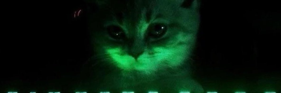 ItJustTee's profile banner image