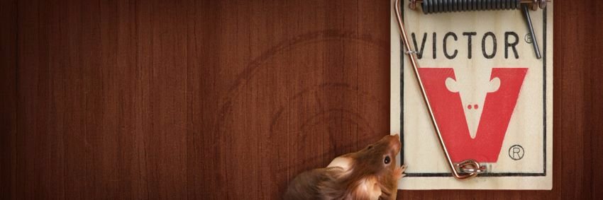 Victor® banner