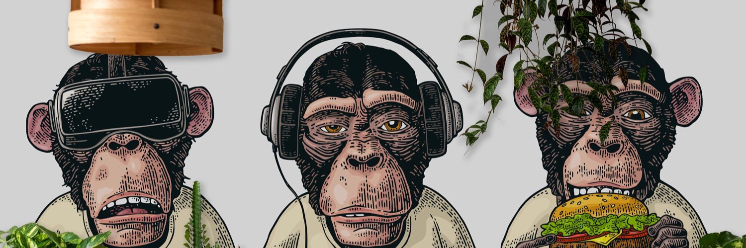 datingmonkey's profile banner image
