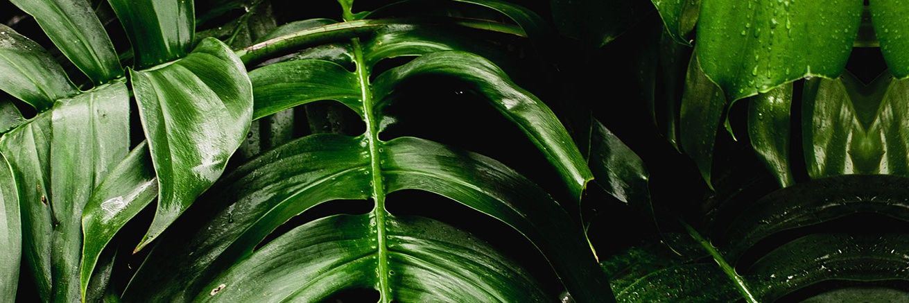 sabaesam_'s profile banner image