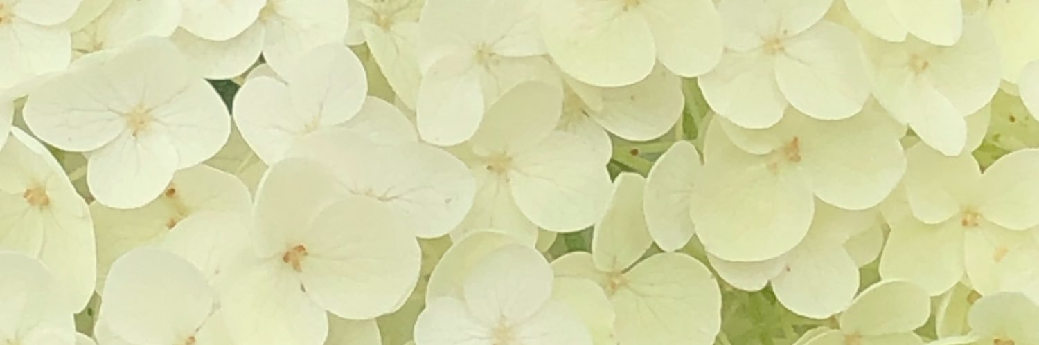 chicamonstar's profile banner image