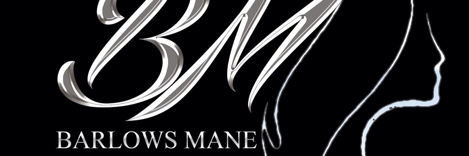 barlowsmane's profile banner image