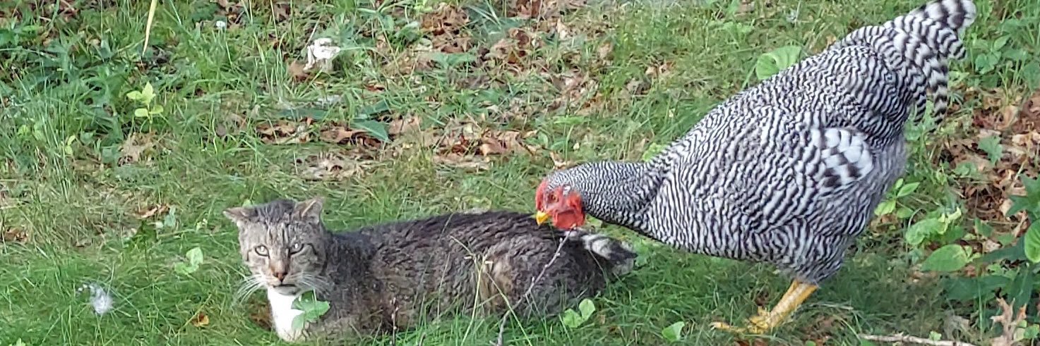 Deep Statements banner