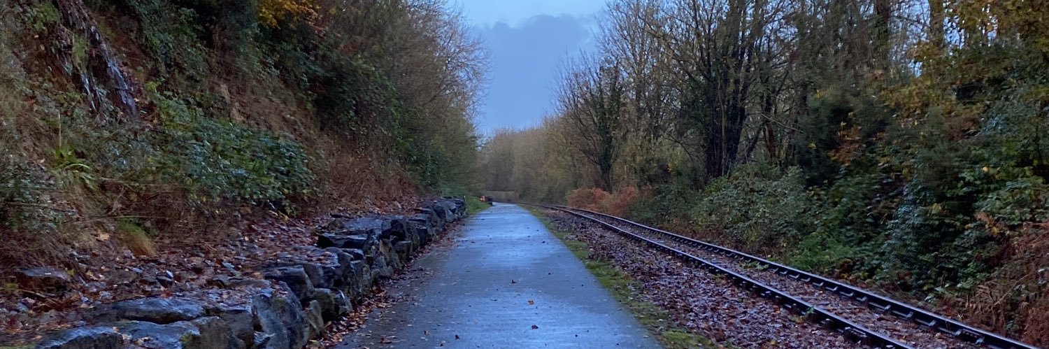 Ross_hanley's profile banner image