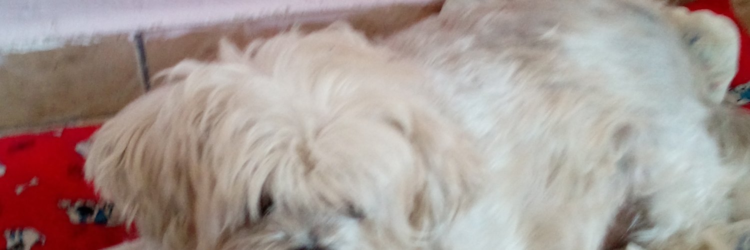 Jairo banner