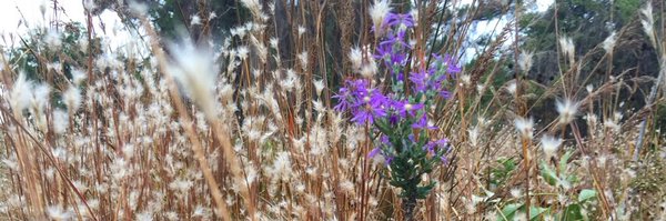 DurhamBeautiful Profile Banner