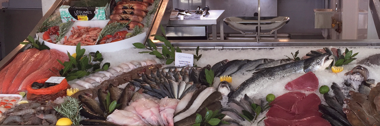 jsfreshfish's profile banner image