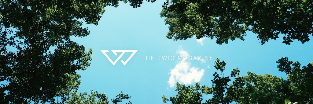 thetwigmagazine's profile banner image