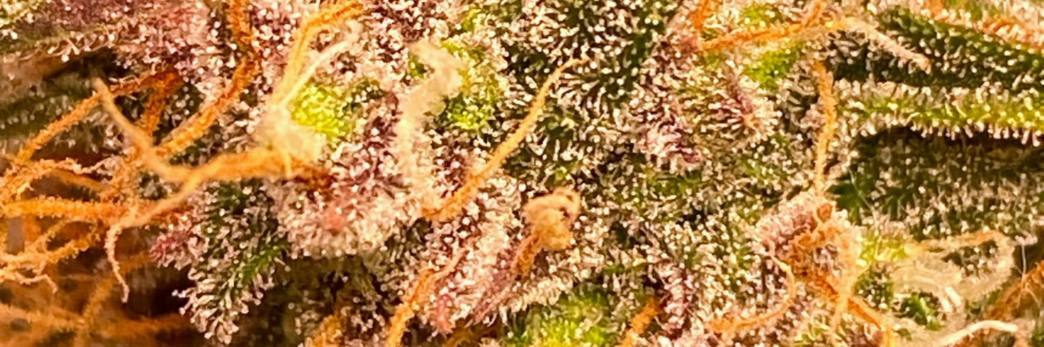 𝓓𝓮𝓵𝓾𝔁𝓮🇬🇧 banner